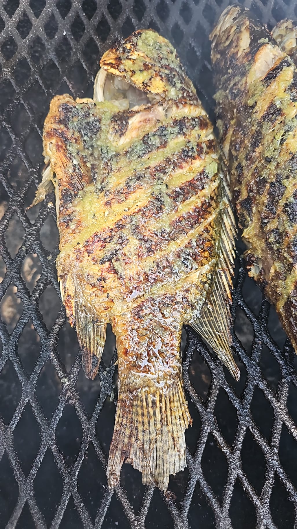Roasted Tilapia Fish